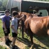 2022 Horseback Riding